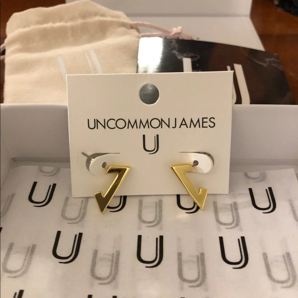 Uncommon James Metropolitan earrings